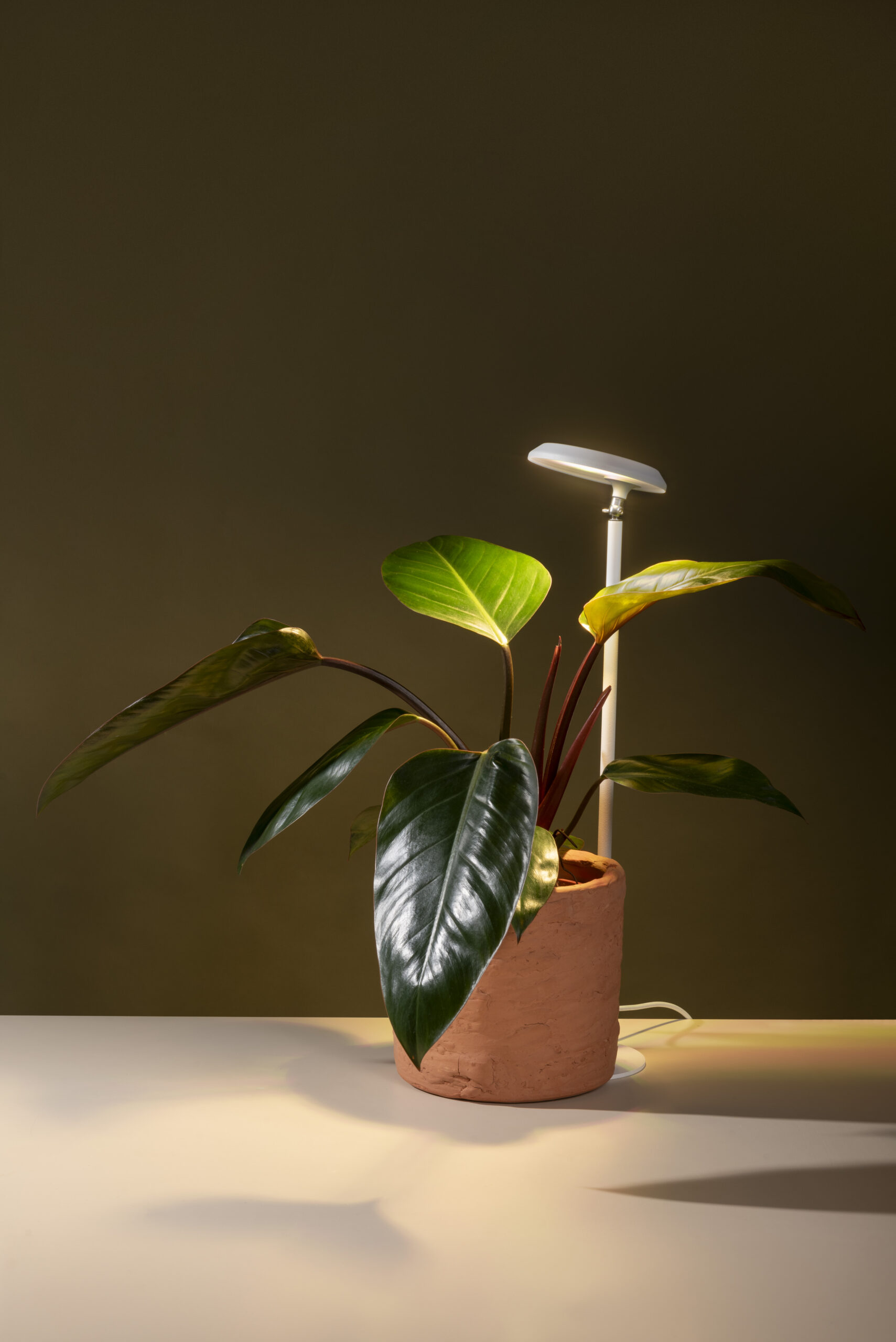 Luminária de mesa Gaia com Sistema Fito