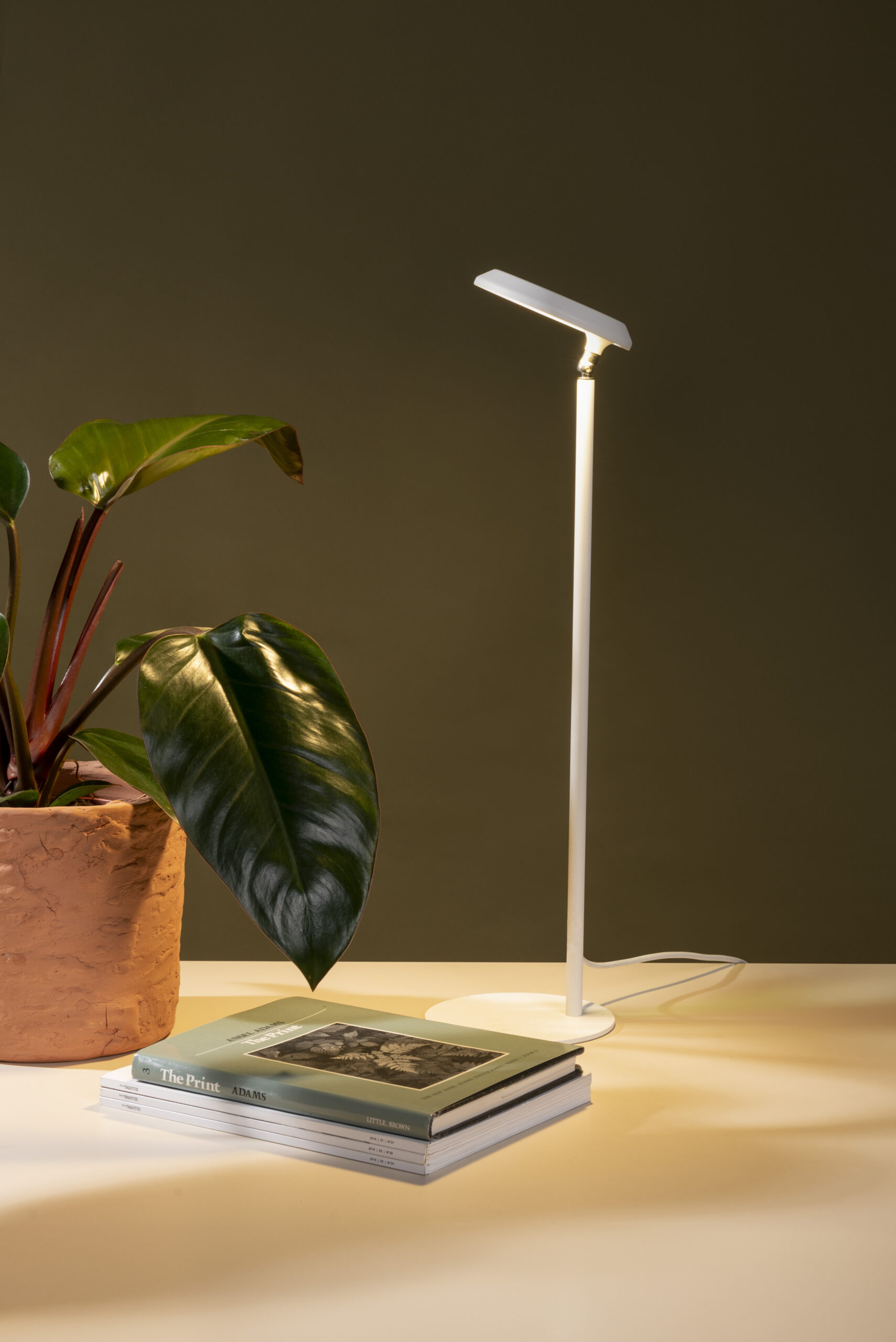 Luminária de mesa Gaia com Sistema Fito
