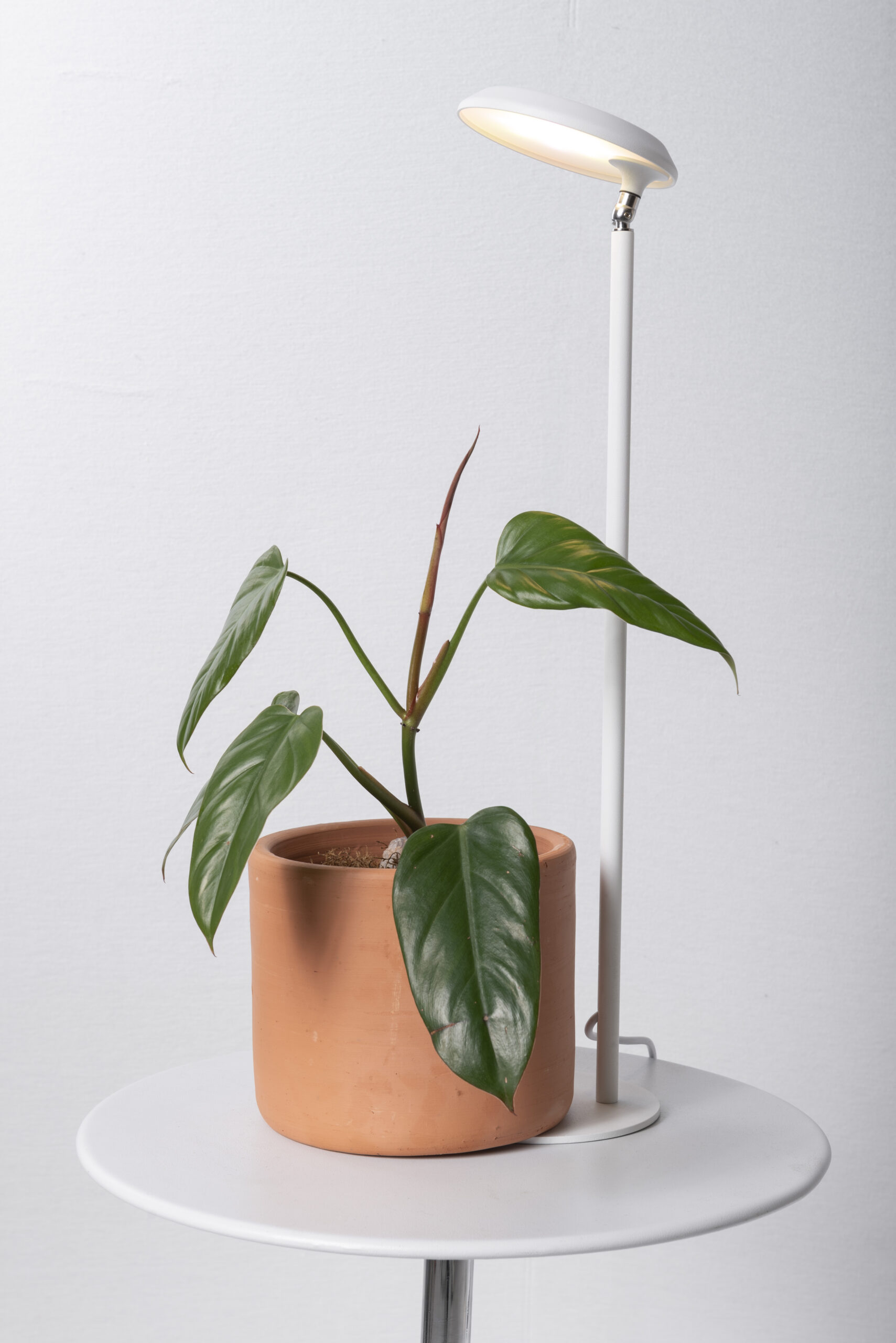 Luminária de mesa Gaia com Sistema Fito